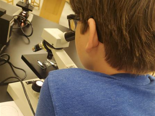 microscope
